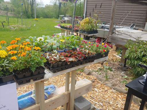 Vineyard «Ventimiglia Vineyard», reviews and photos, 101 Layton Rd, Wantage, NJ 07461, USA