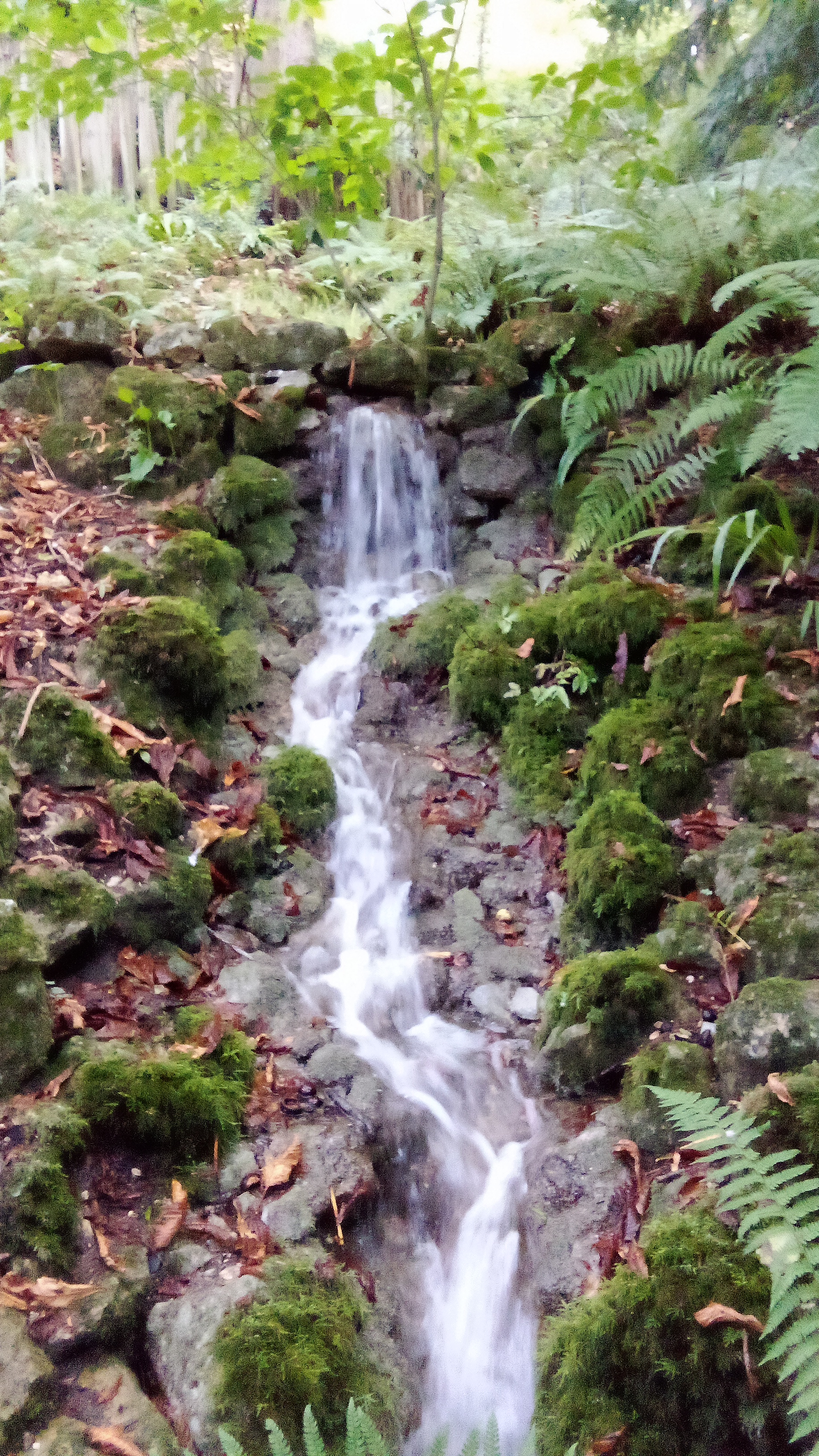 Photo n° 29 de l'avis de moel.o fait le 02/10/2023 à 17:52