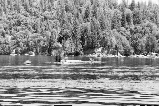 Real Estate Agency «Marshall Realty», reviews and photos, 3255 S Virginia St, Reno, NV 89502, USA