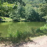 Photo n°2 de l'avis de Niko.i fait le 06/08/2020 à 13:31 sur le  Hütte am Hilschweiher à Edenkoben
