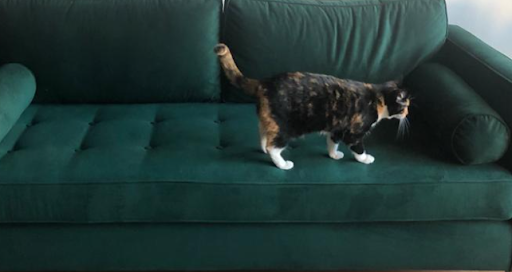 Custom Label Printer «Lightning Labels», reviews and photos, 2369 S Trenton Way c, Denver, CO 80231, USA