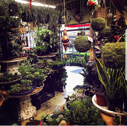 Garden Center at Intown Ace Hardware