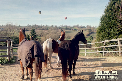 Tipi Ranch - Willo Horse à Montrabot