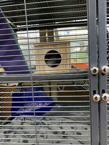 Pet Supply Store «Pet Supermarket», reviews and photos, 1125 Royal Palm Beach Blvd, Royal Palm Beach, FL 33411, USA