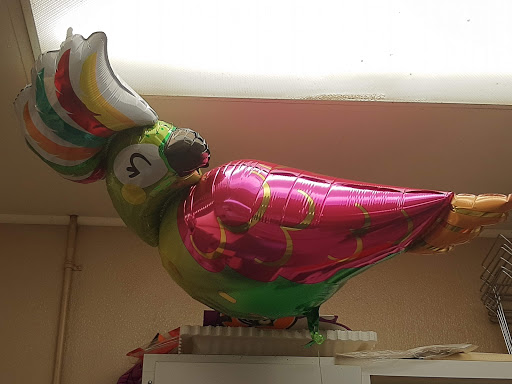 Grocery Store «Stop & Shop», reviews and photos, 11 Glen Ridge Rd, Greenwich, CT 06831, USA