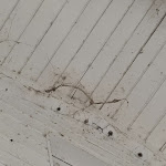 Photo n°5 de l'avis de Marina. fait le 16/09/2022 à 18:10 sur le  QC Quartier Chiemsee Hotel à Seebruck