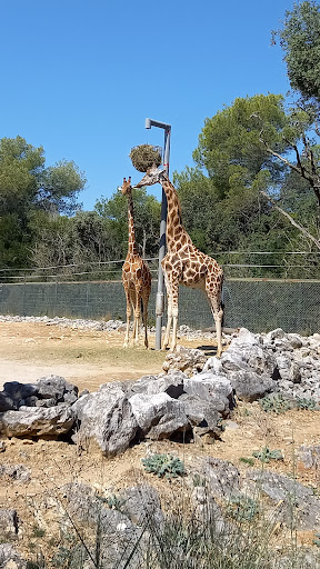 Parc de Lunaret - Zoo de Montpellier
