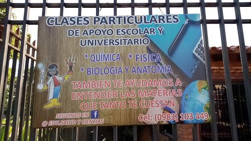 Clases particulares de apoyo escolar