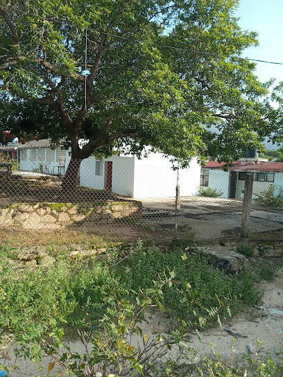 Escuela Primaria Ignacio M. Altamirano