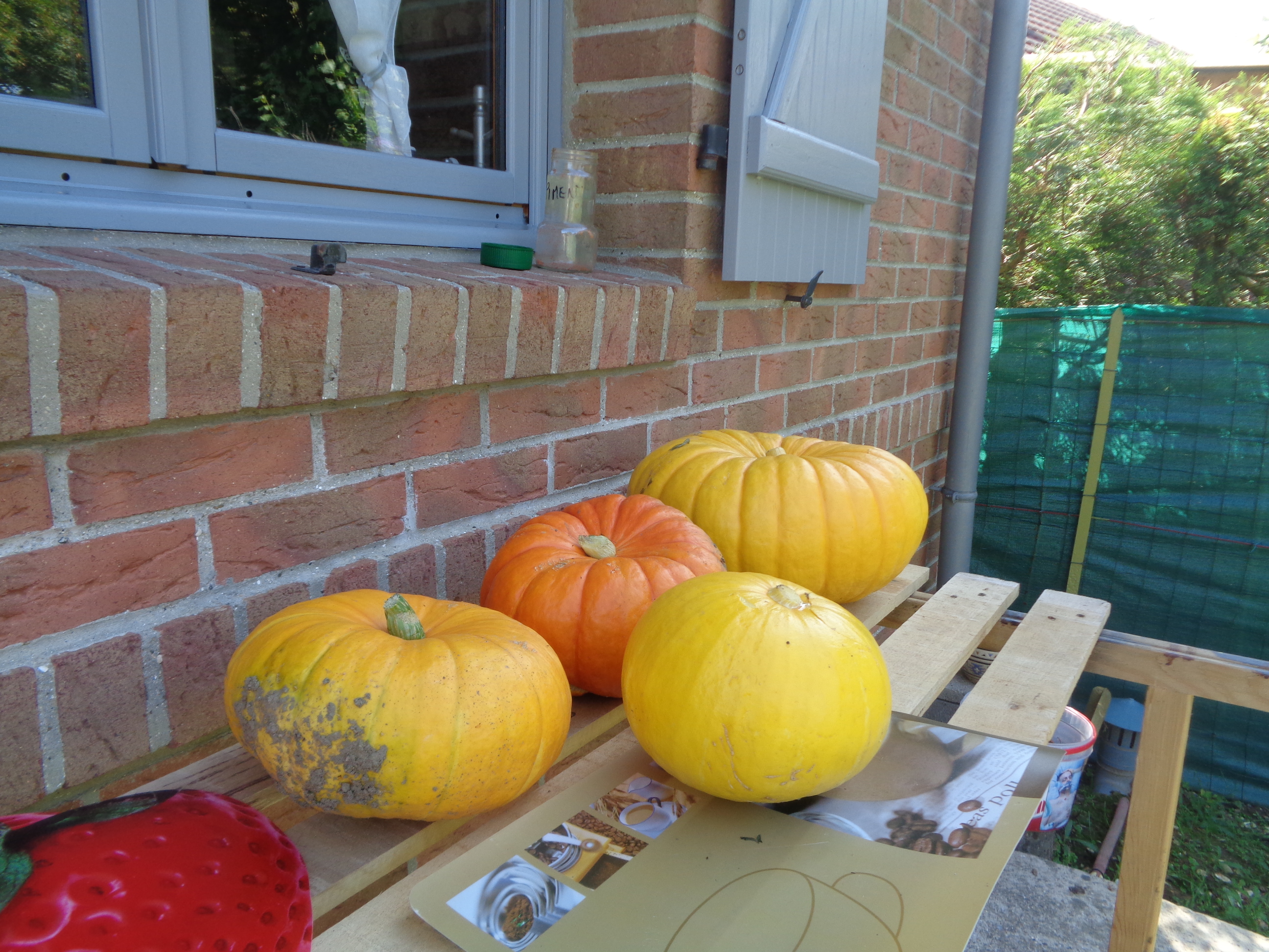 Photo n° 1 de l'avis de Alain.A fait le 02/08/2019 à 08:31