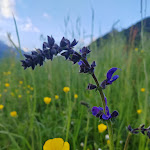 Photo n°5 de l'avis de Erika.p fait le 28/04/2024 à 09:53 sur le  Hotel Residence La Pertica S.R.L. à Vesio