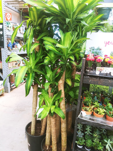 Home Improvement Store «The Home Depot», reviews and photos, 1413 N Armistead Ave, Hampton, VA 23666, USA