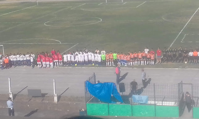 Complejo Danubio F.C. - Campo de fútbol