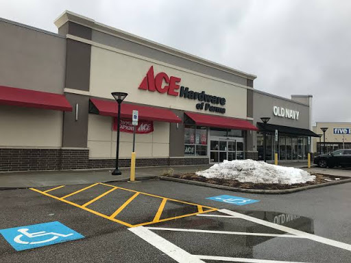 Hardware Store «Ace Hardware Palm Harbor», reviews and photos, 35125 US Hwy 19 N, Palm Harbor, FL 34684, USA