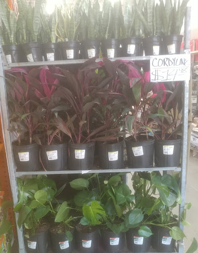 Home Improvement Store «The Home Depot», reviews and photos, 2008 Magwood Dr, Charleston, SC 29414, USA