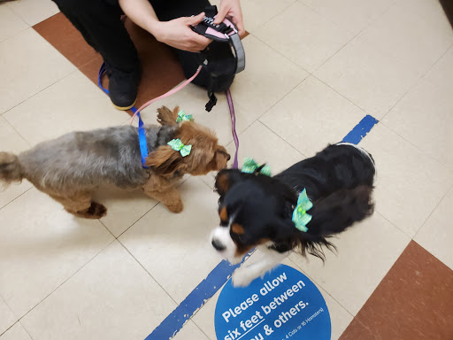 Pet Supply Store «PetSmart», reviews and photos, 3370 Shoppers Dr, McHenry, IL 60050, USA