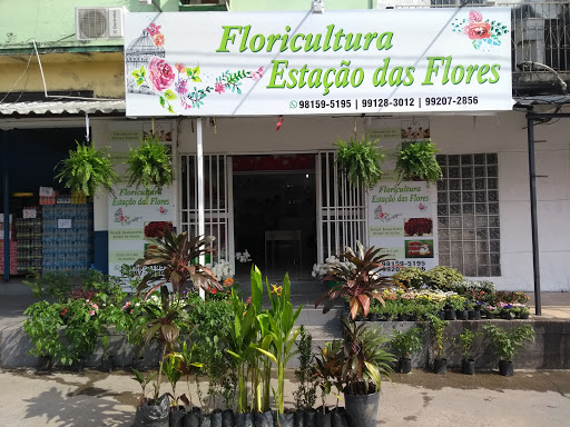 Floricultura Estação das Flores Manaus