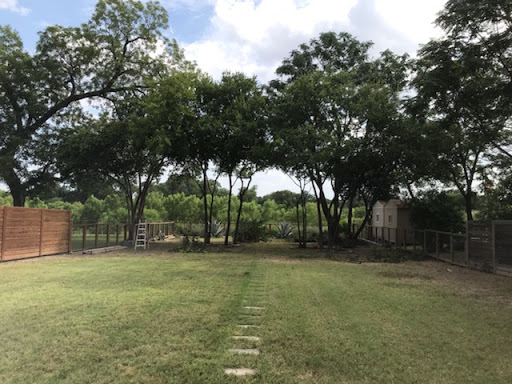 San Antonio Tree Service