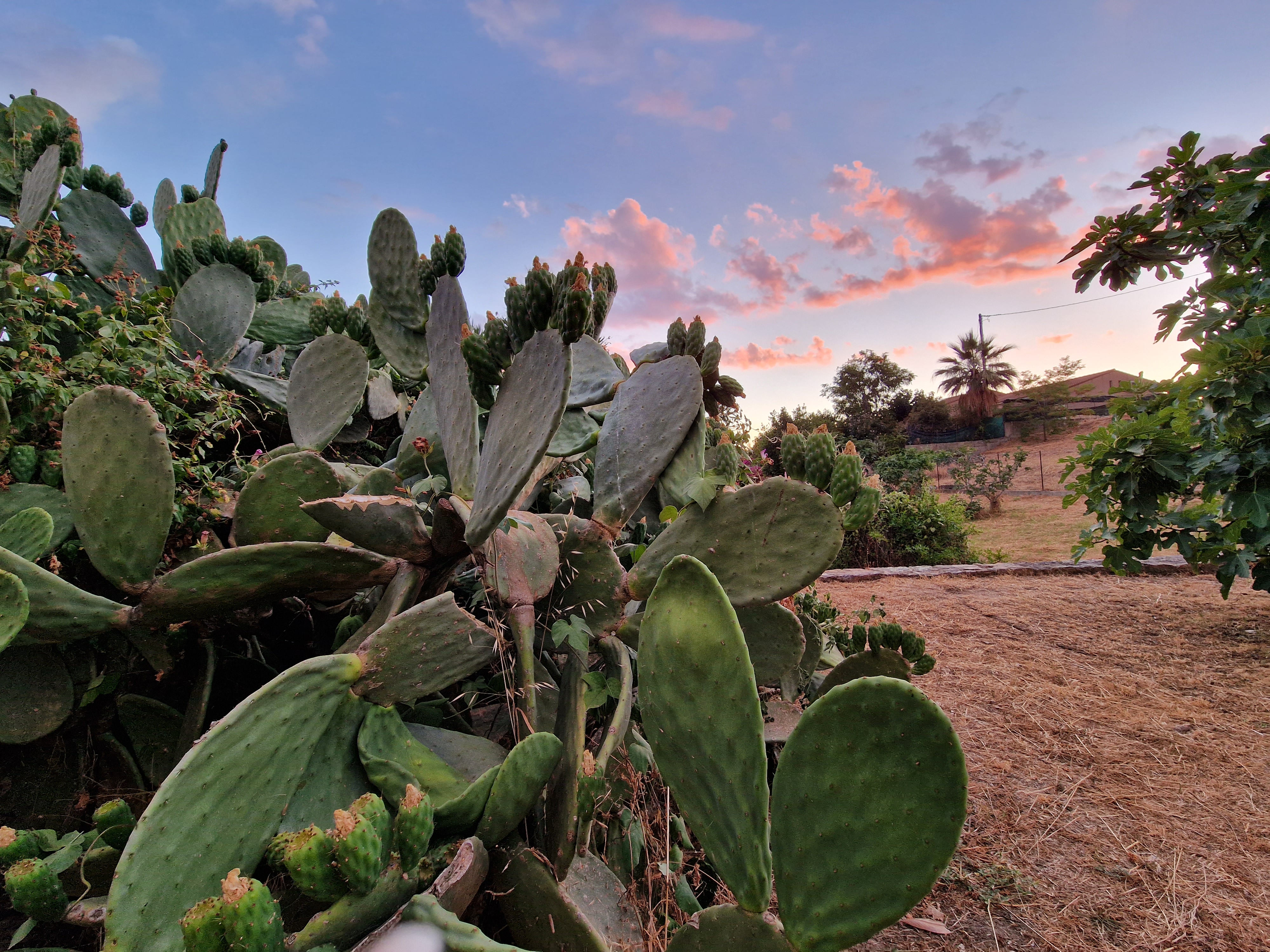 Photo n° 17 de l'avis de Ula.u fait le 09/07/2022 à 12:48