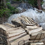 Photo n°2 de l'avis de Tiziano.a fait le 04/05/2020 à 05:57 sur le  Angolo della Pizza à Novara