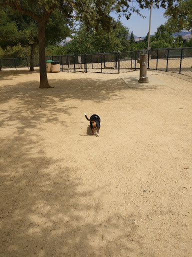 Dog Park «Memorial Park», reviews and photos, 5001-5011 Bollinger Canyon Rd, San Ramon, CA 94583, USA