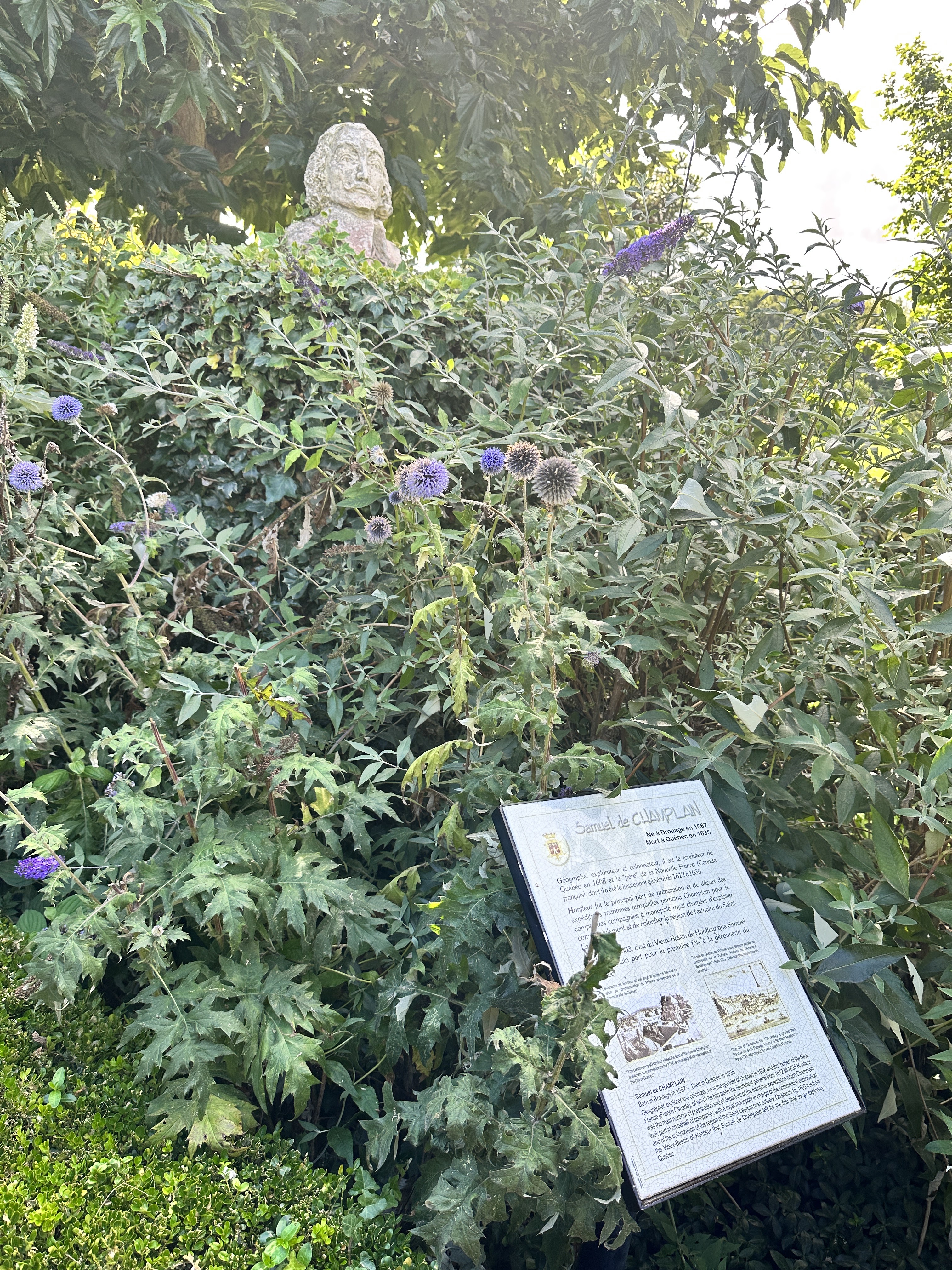 Photo n° 34 de l'avis de Rolsia. fait le 15/08/2023 à 20:04