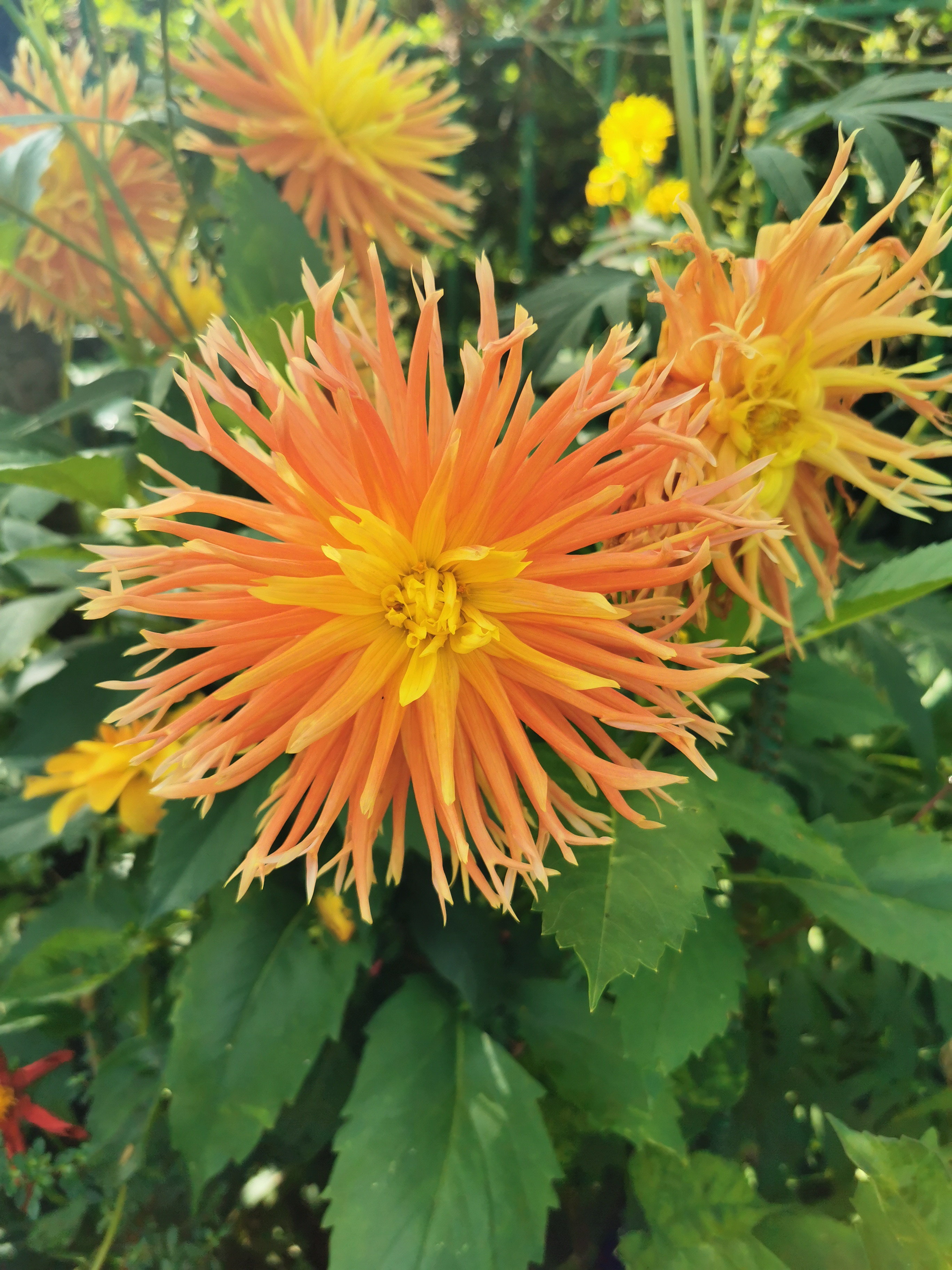 Photo n° 2 de l'avis de Sylvie.a fait le 22/08/2023 à 18:08