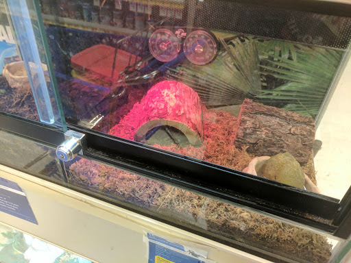 Pet Supply Store «PetSmart», reviews and photos, 45050 Northpointe Blvd, Utica, MI 48315, USA