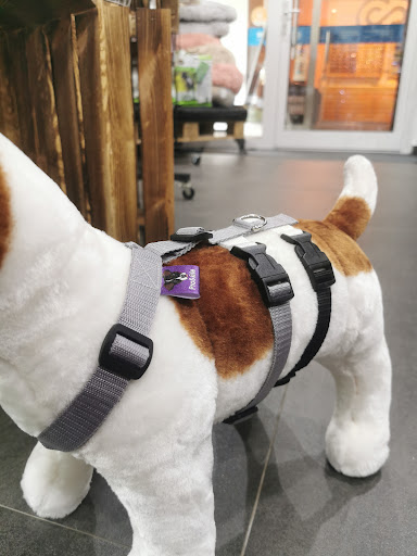 ProSafe Hundeshop & Manufaktur unter Karlstein am Main, 
