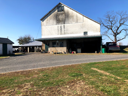Produce Market «Solly Brothers», reviews and photos, 707 Almshouse Rd, Warminster, PA 18974, USA