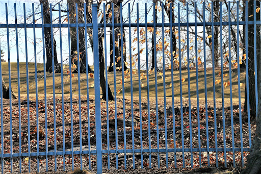 Public Golf Course «Weequahic Golf Course», reviews and photos, 1 Thomas Carmichael Dr, Newark, NJ 07112, USA