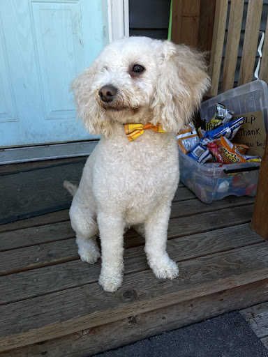 Pet Store «Pet Town», reviews and photos, 51 WA-300, Belfair, WA 98528, USA