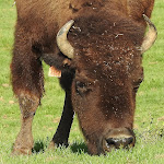 Photo n° 5 de l'avis de Ludivine.n fait le 30/09/2023 à 04:42 pour Parc Canadien à Muchedent