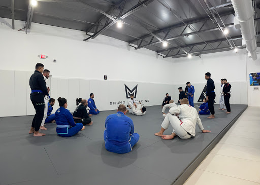 Alliance Jiu Jitsu | Bruno Malfacine