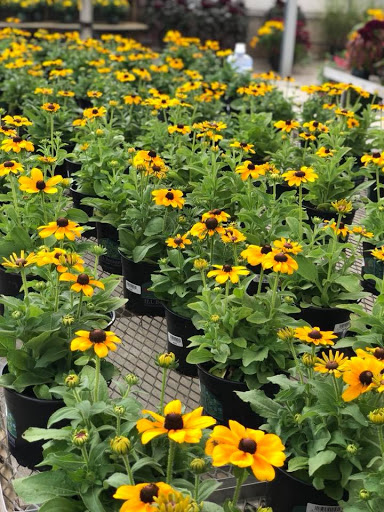 Garden Center «H J Benken Florist & Garden», reviews and photos, 6000 Plainfield Rd, Cincinnati, OH 45213, USA