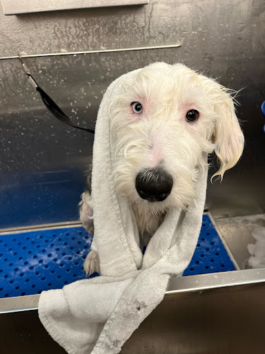 Pet Supply Store «Pet Supplies Plus», reviews and photos, 1031 Northwest Hwy, Garland, TX 75041, USA