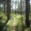 Lake Wales Ridge State Forest