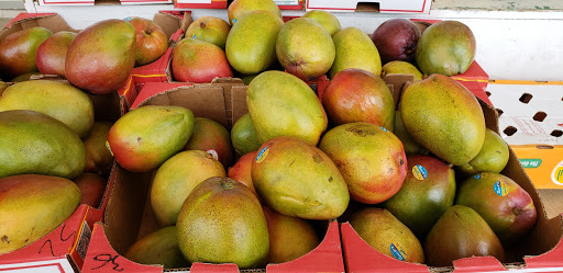 Produce Market «Ledgewood Farm», reviews and photos, 1013 US-46, Ledgewood, NJ 07852, USA