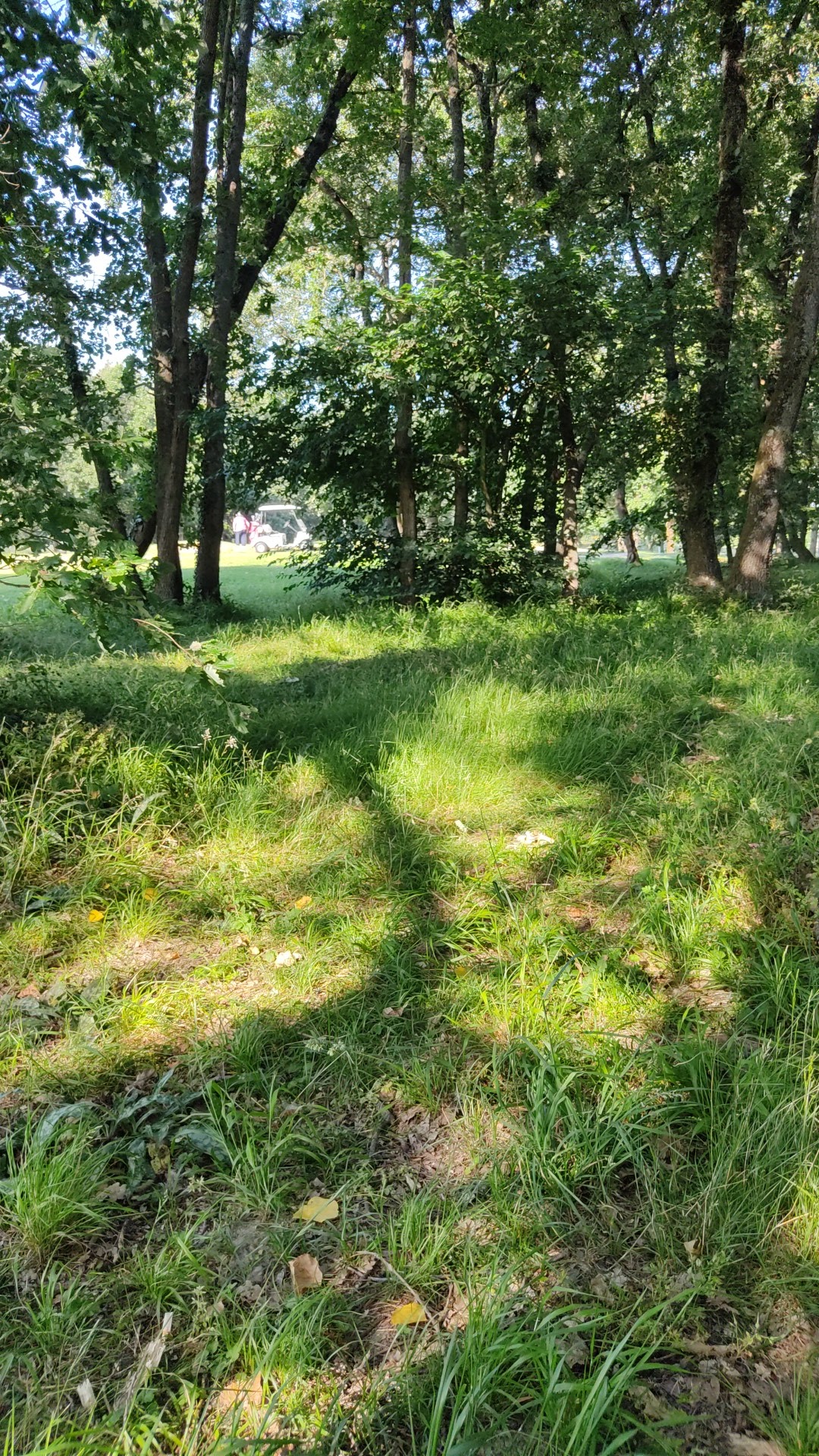 Photo n° 3 de l'avis de Priscille.a fait le 12/06/2021 à 16:26