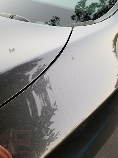 Car Wash «Quick Quack Car Wash - Sacramento on Madison», reviews and photos, 4301 Madison Ave, Sacramento, CA 95842, USA