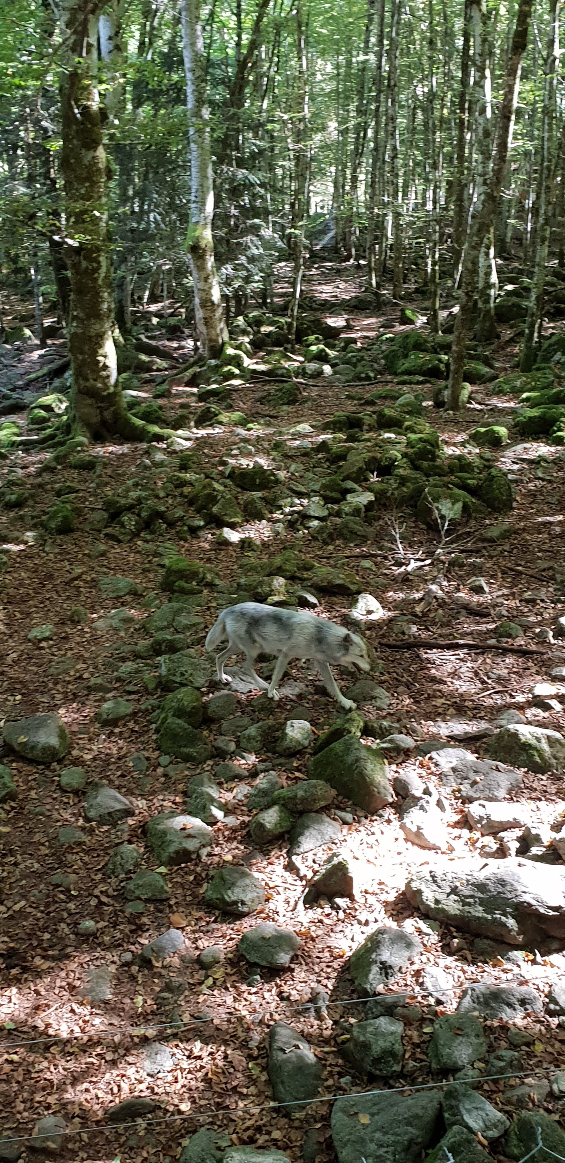 Photo n° 21 de l'avis de Christophe.e fait le 26/09/2018 à 10:29