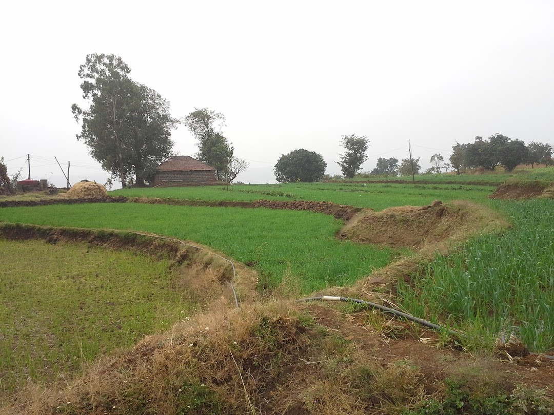 राजाराम तातोबा आनुते (चेरमन) नविवाडी,जींती