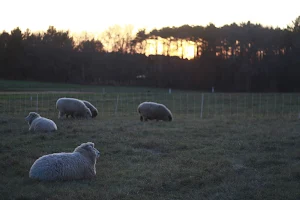 Mass Audubon's Drumlin Farm image