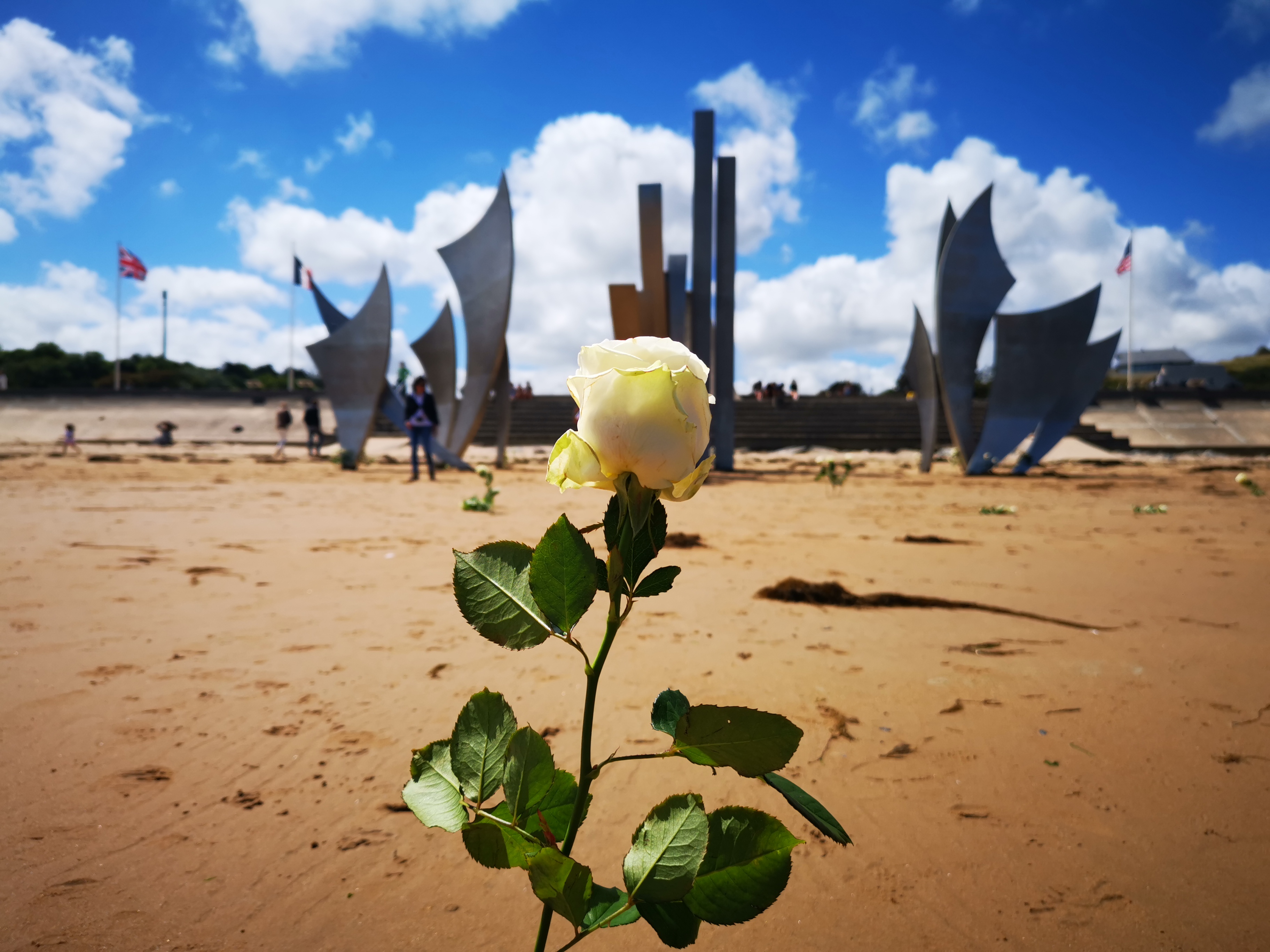 Photo n° 2 de l'avis de David.a fait le 15/07/2019 à 17:16