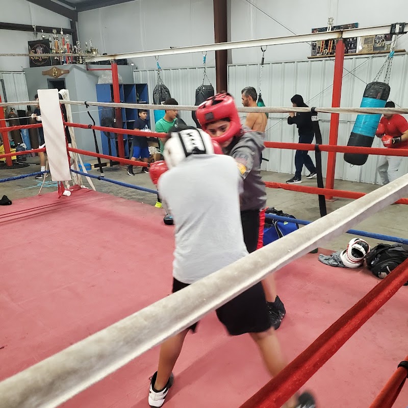 Fuentes Boxing