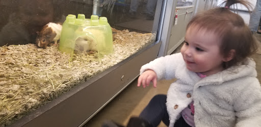 Pet Supply Store «Pet Supplies Plus», reviews and photos, 1970 Portage Trail, Cuyahoga Falls, OH 44223, USA