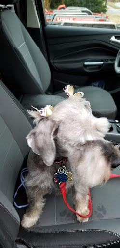 Pet Store «Pets Plus Inc», reviews and photos, 2610 Jefferson Davis Hwy, Stafford, VA 22554, USA