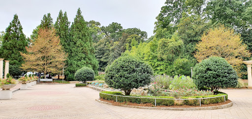 Natural History Museum «Fernbank Museum of Natural History», reviews and photos, 767 Clifton Rd, Atlanta, GA 30307, USA