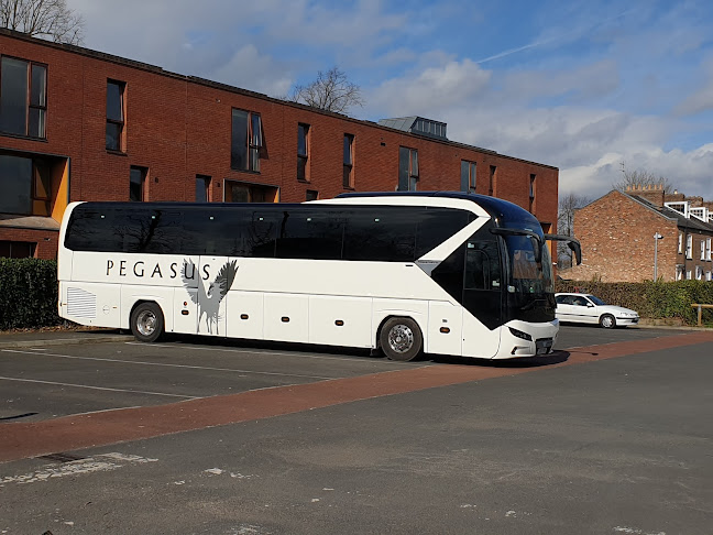Comments and reviews of Pegasus Coaches