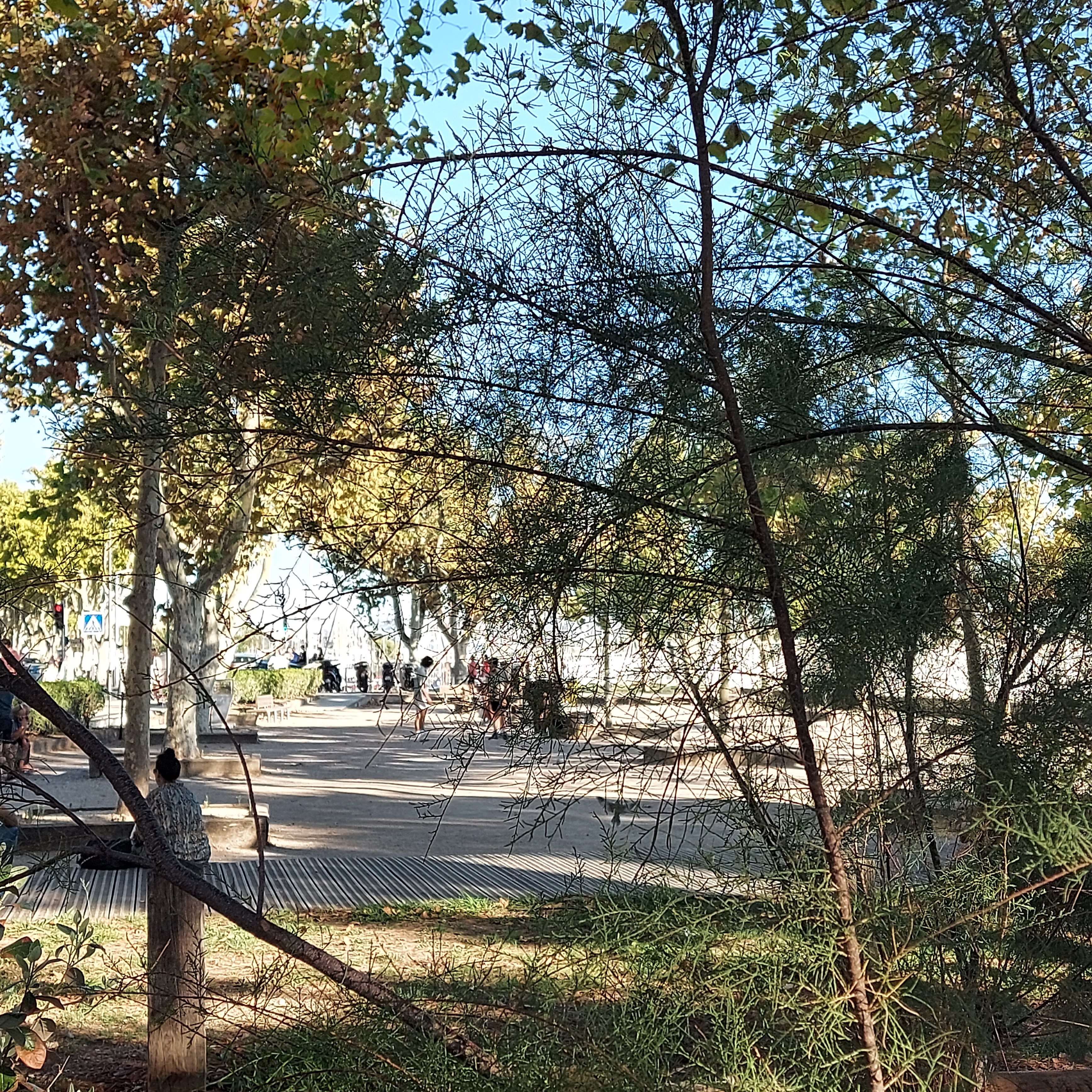 Photo n° 2 de l'avis de Jouda.l fait le 16/09/2022 à 14:44